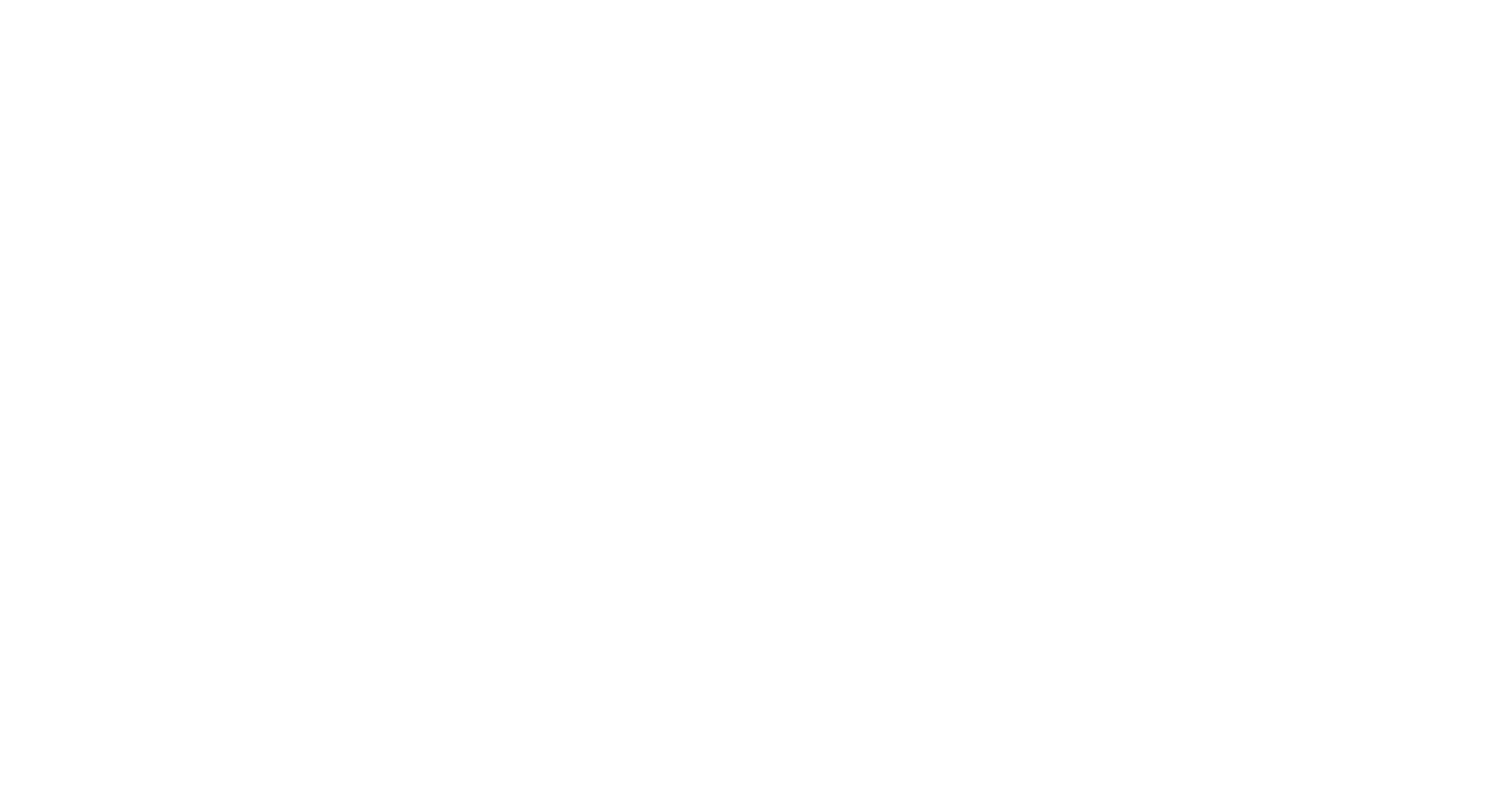 Axie Infinity